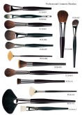 Professional Makeup Brushes